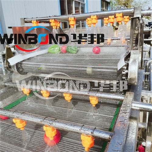 蔬菜清洗機 現(xiàn)代廚房的高效護衛(wèi)
